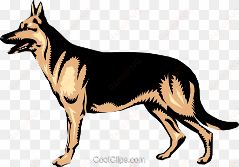 german shepherd royalty free vector clip art illustration - dog