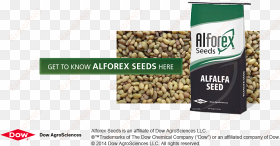 get to know alforex seeds image - alforex seeds