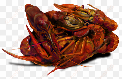 get your crawfish boil on at capt - homarus