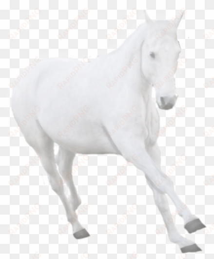 ghost horse pre cut by sydsanchorlessstudio on deviantart - ghost horse png