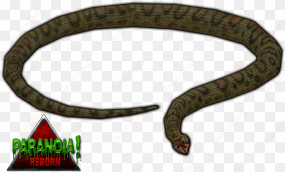 giant anaconda paranoia by budhiindra-d63aaz2 - zoo tycoon 2 green anaconda