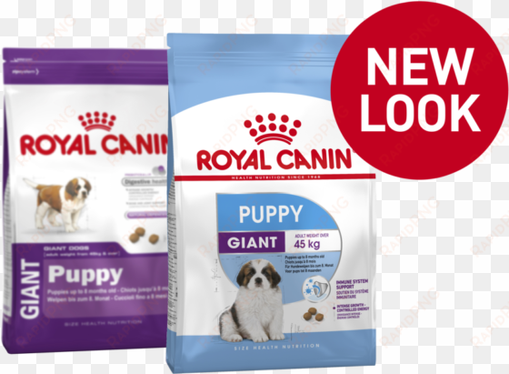 giant puppy product bag - royal canin maxi junior 15kg