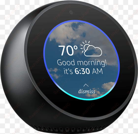 gift option three - amazon echo spot