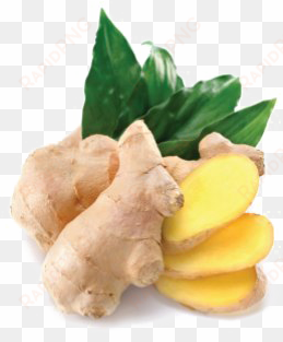 ginger png photo - amoretti ginger extract oil soluble - 8 lbs