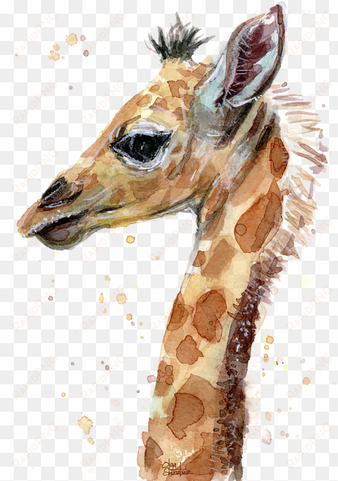 giraffe baby watercolor t