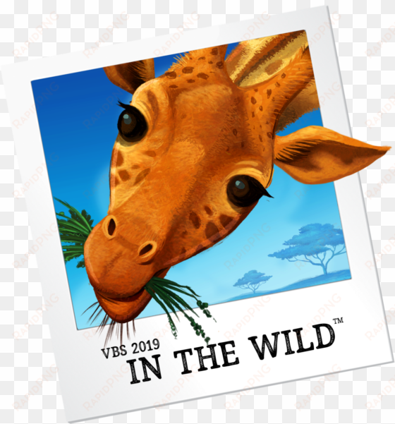 giraffe - lifeway vbs 2019 in the wild