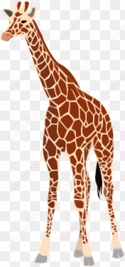 giraffe png - giraffe arabic word