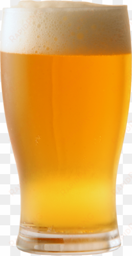 glass of beer png vector free download - cold glass of beer
