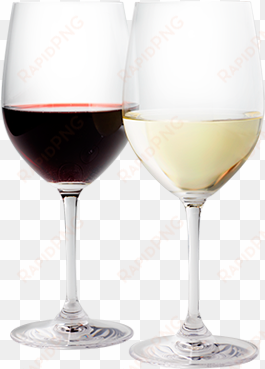 glass of white wine png - wine glass