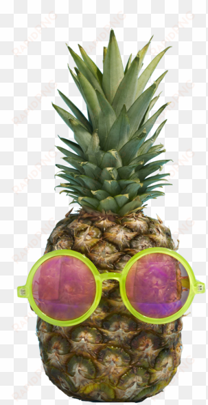 gnarly transparent tumblr - pineapple with sunglasses png