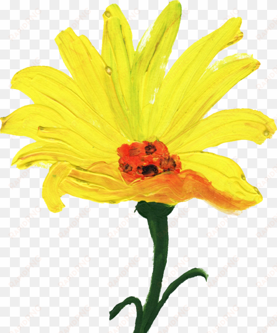 go to image - yellow flower paint png