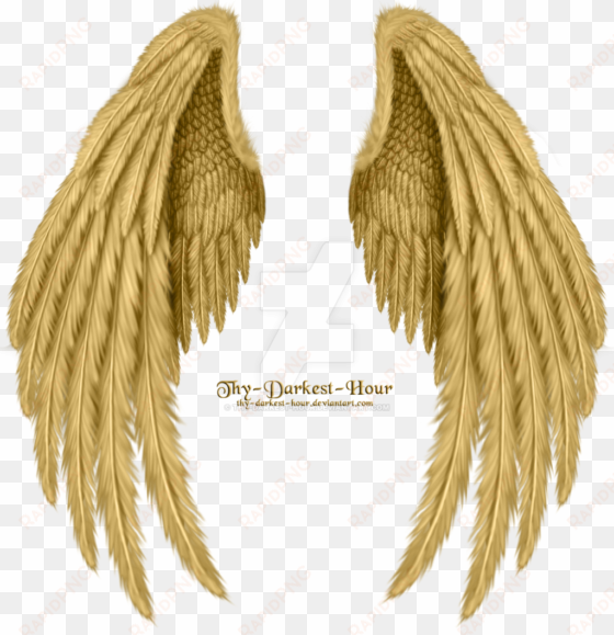 gold angel wings png image download - golden angel wings png
