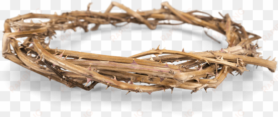 Gold Crown Of Thorns Png Graphic Library - Getty Images transparent png image