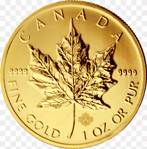 gold maple leaf - maple leaf 2013 gold