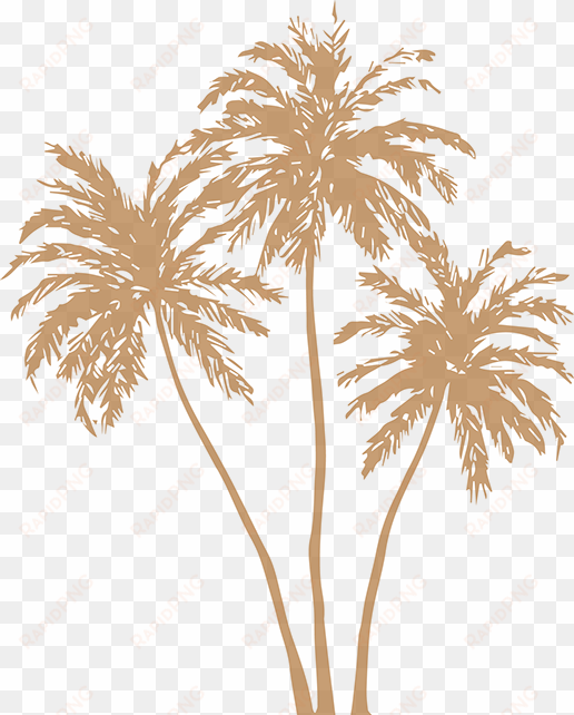 gold palm leaves png image free stock - gold palm tree png