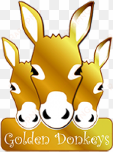 golden donkeys