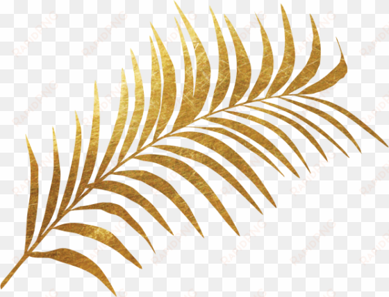 golden plant - fern leaf gold