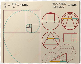 golden ratio, golden proportion canvas print • pixers® - golden ratio