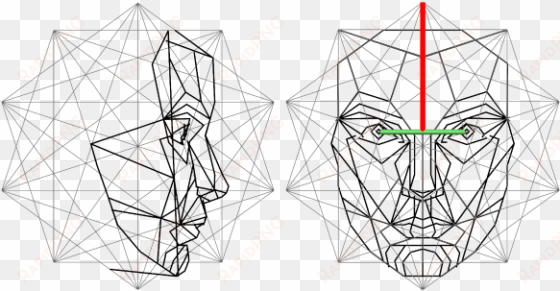 golden ratio overlay - golden ratio mask