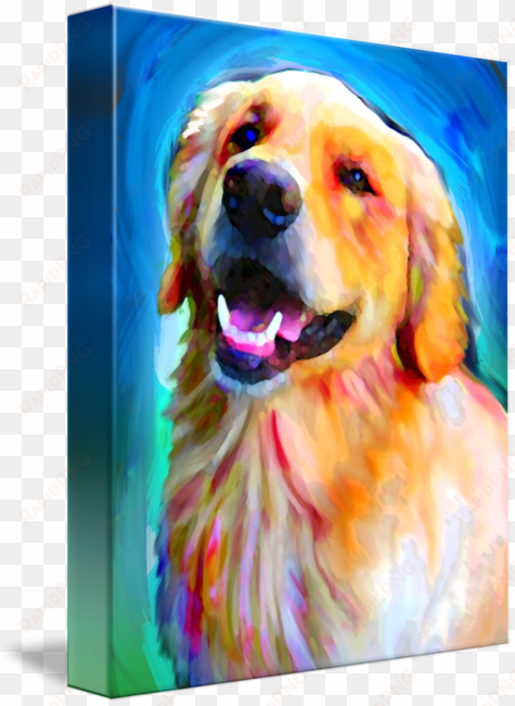 "golden retriever" by david corrente, // // imagekind - gallery-wrapped canvas art print 11 x 14 entitled golden