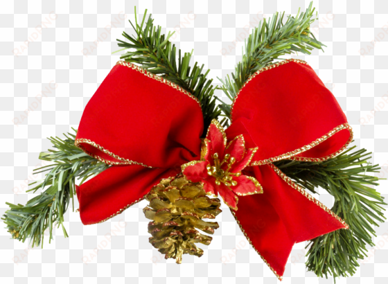 golden ribbon christmas bow isolated - christmas ribbon real