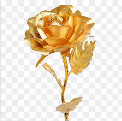 golden rose png download image - gift