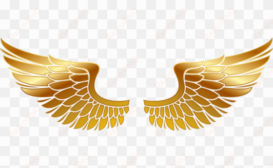 golden wings png transparent image - wings of fire vector