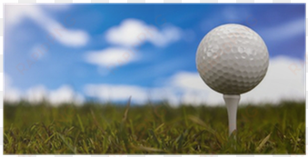 golf ball on green grass over a blue sky poster • pixers® - pitch and putt