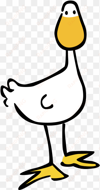 goose - duck
