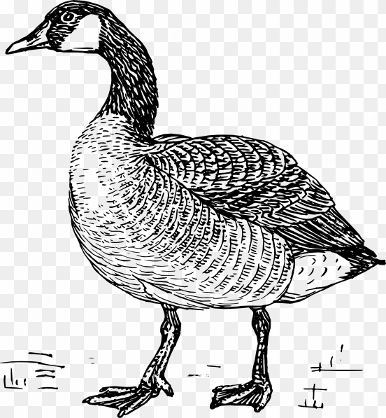 goose svg clip arts 552 x 597 px