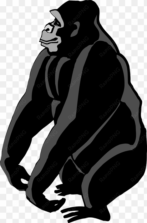 gorilla clipart - gorilla clipart png