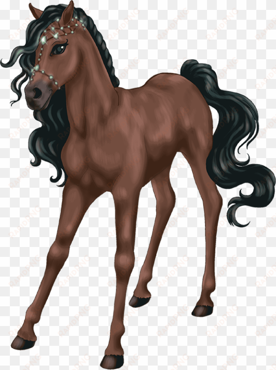 gp bs ab fp foal jewell20130802 2538 1c03gsz 0 - bella sara legendary horse