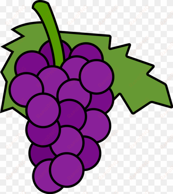 grape clipart printable - purple grapes clip art