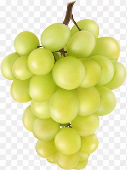 grape png clip art image - seedless fruit
