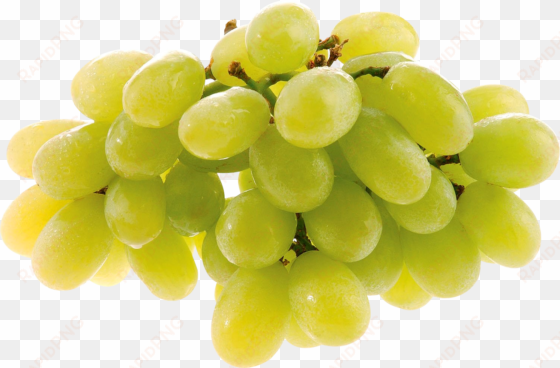 grape png image - green grapes