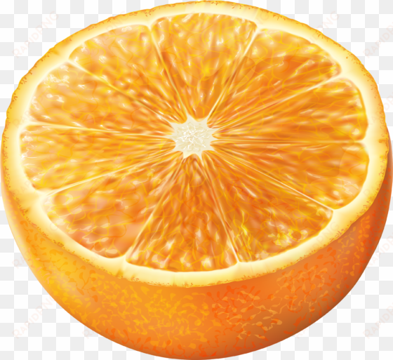 grapefruit clipart half orange