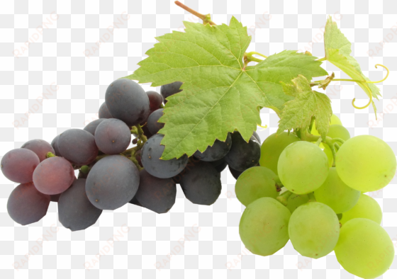grapes png - best pure grape seed oil| (240ml)
