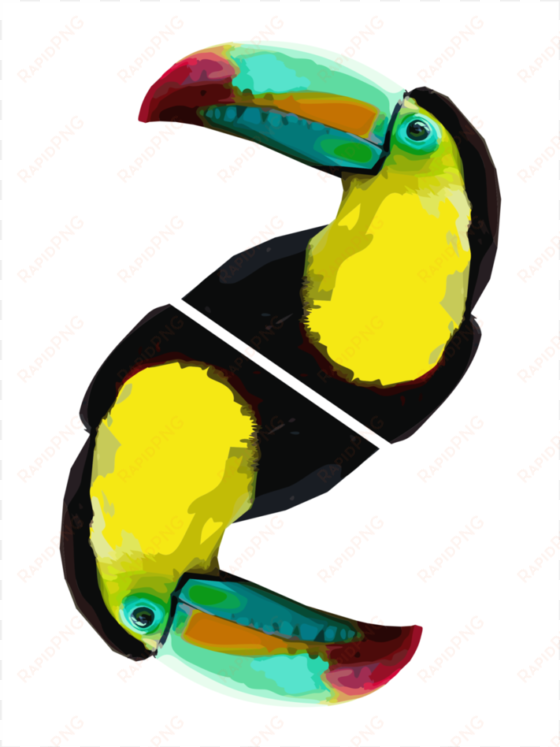 graphic design for print by gdakaska on - toucan graphic