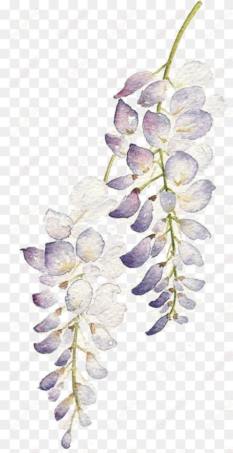 graphic flowers watercolour painting purple flower - watercolor purple flowers png