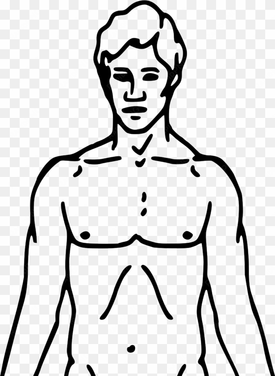 graphic freeuse download body outline clipart - chemical basis of love