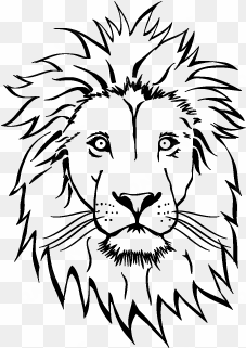 graphic freeuse head drawing at getdrawings com free - coloring pages lion face