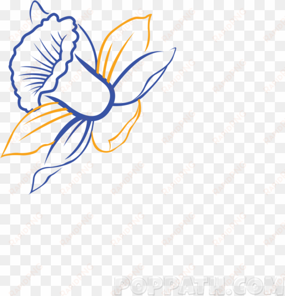 Graphic Freeuse Library Daffodils Drawing Tulip - Drawing transparent png image