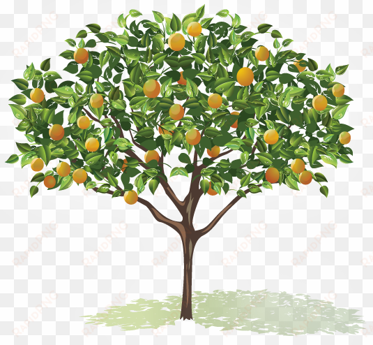 graphic freeuse stock fruit trees clipart - trees with flowers and fruits drawing