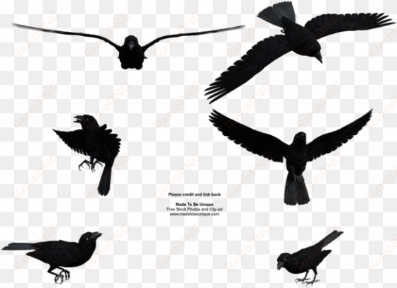 graphic library free raven clipart - flying crow png