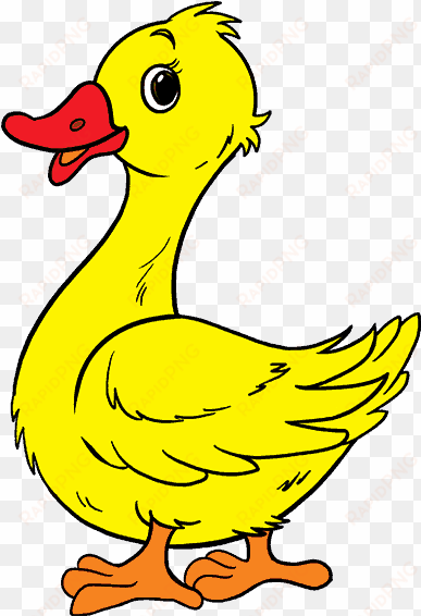 graphic royalty free pictures at getdrawings com free - duck cartoon png