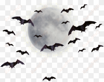 graphics moonpng - moon and bats png