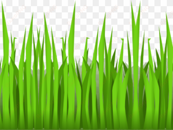 grass clipart clear background - cartoon grass transparent background