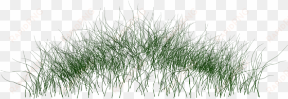 grass photoshop png jpg free download - png water plants