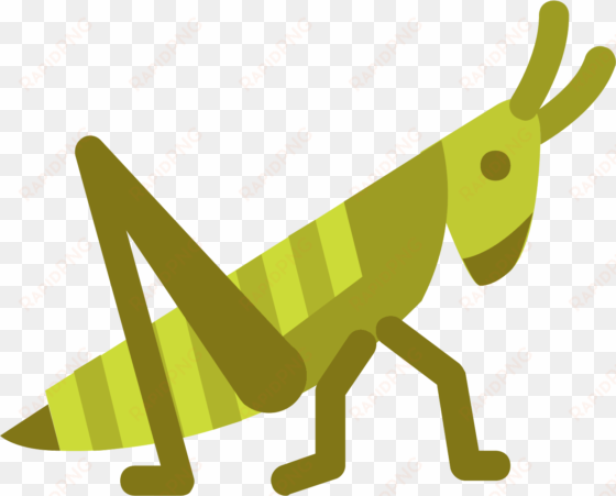 grasshopper clipart pencil - grasshopper logo line