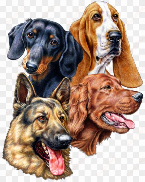 great dane graphics dog breeds - german shepherd face png